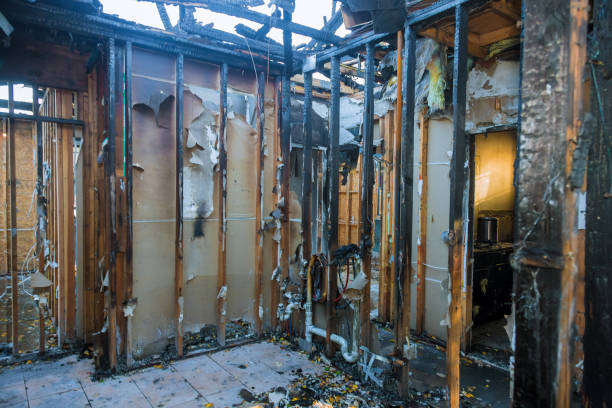 Professional Soot Cleanup technician working in Lake Cherokee, TX
